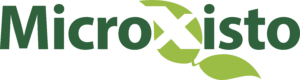 logo_microxisto-300x80
